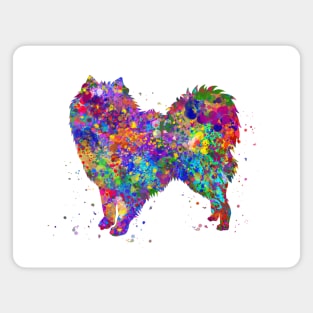 American eskimo dog Magnet